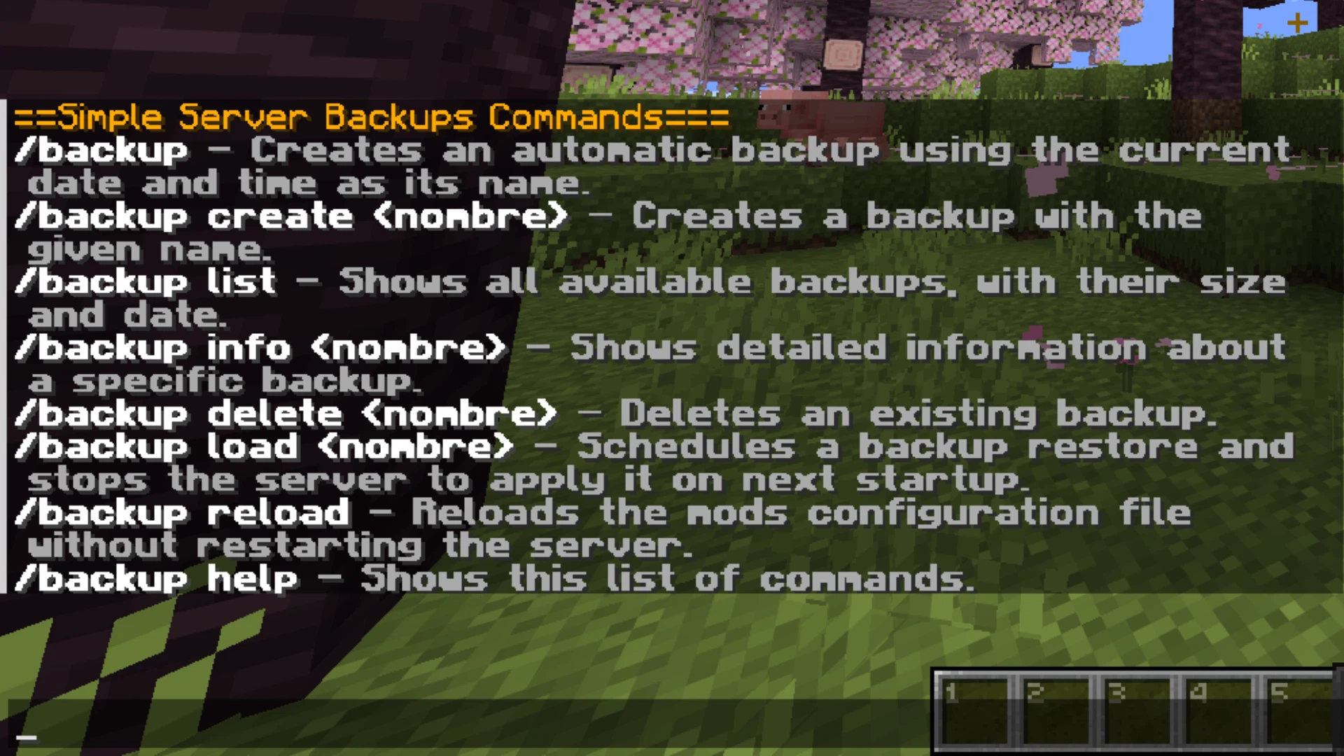Скриншот Simple Server Backups