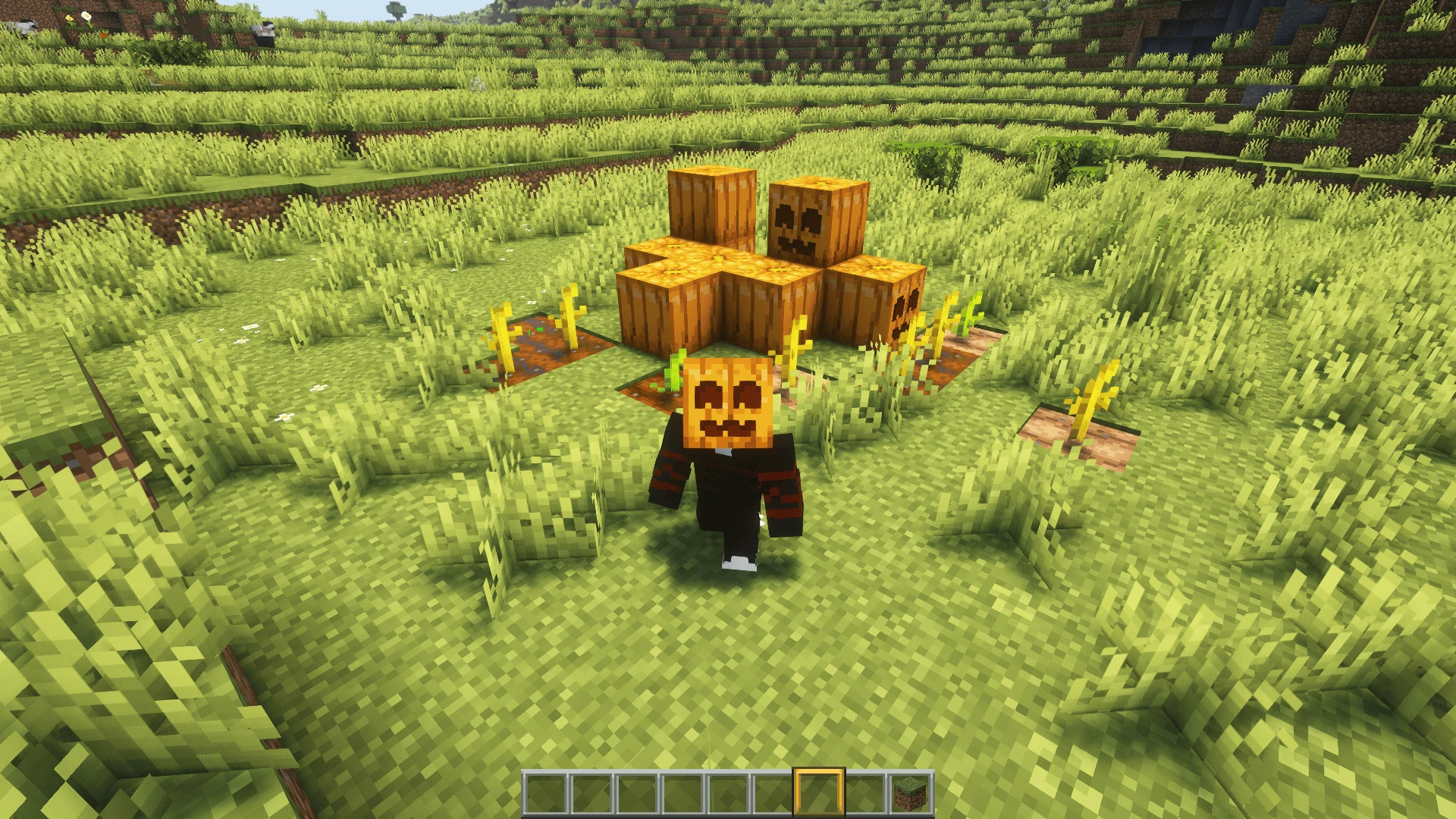Скриншот Cute Pumpkin