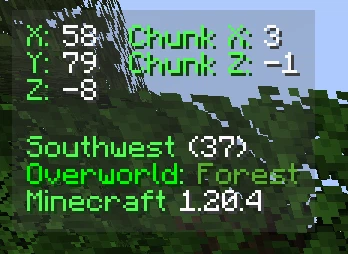 Скриншот Coordinates Display