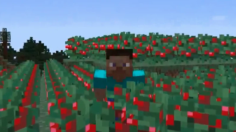 Скриншот Sneak Through Berries