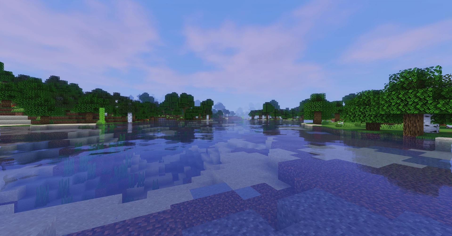 Скриншот NPC-Shaders