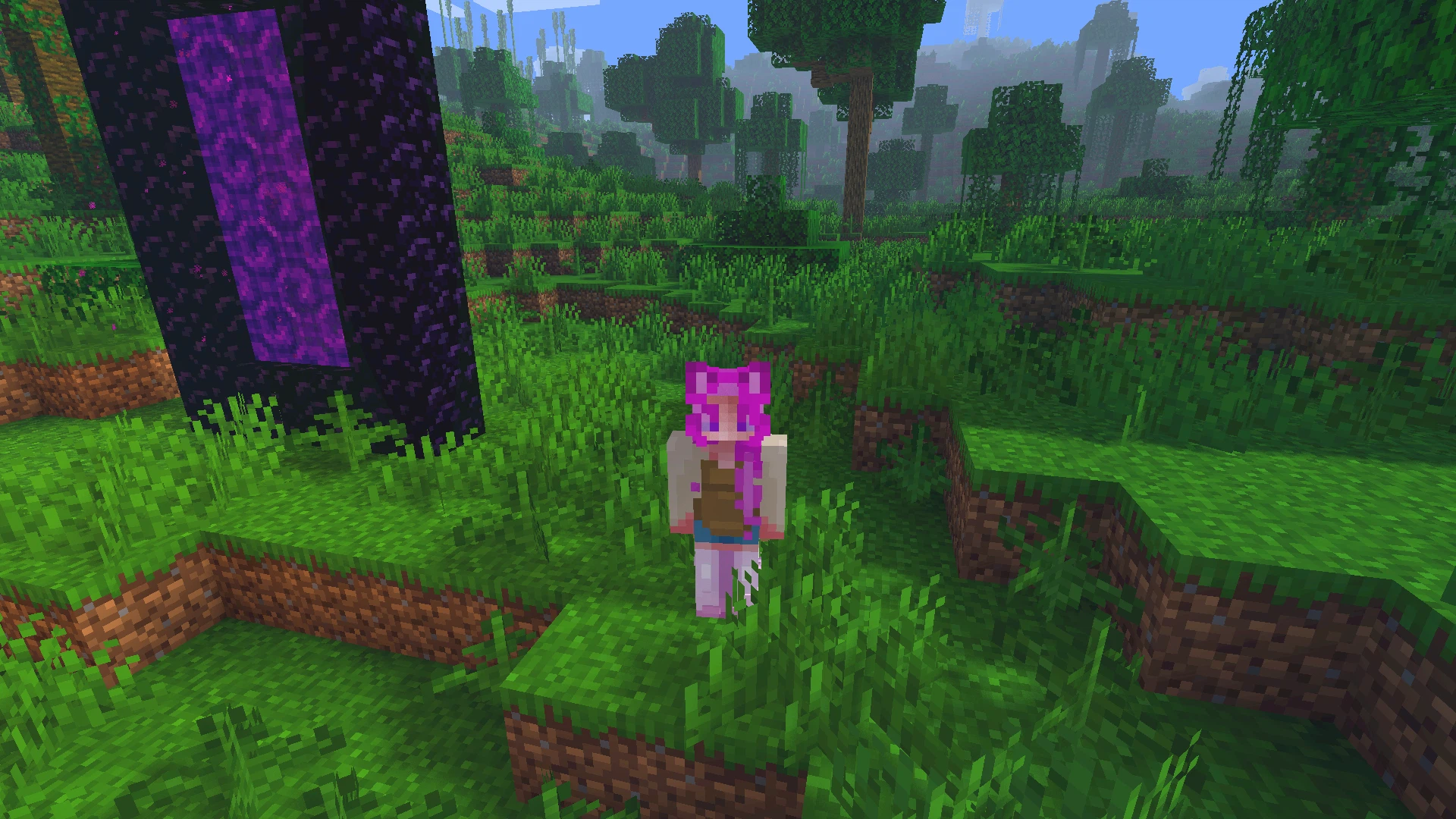 Скриншот Catnip Shaders