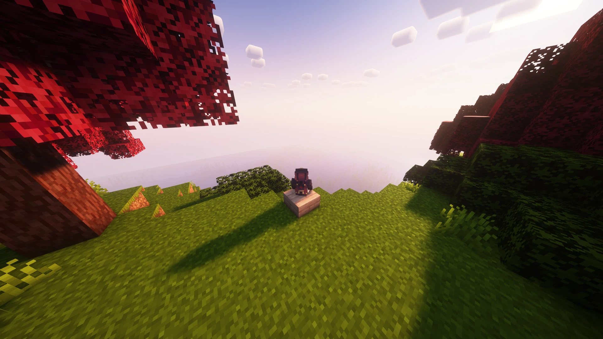 Скриншот Not Enough Biomes