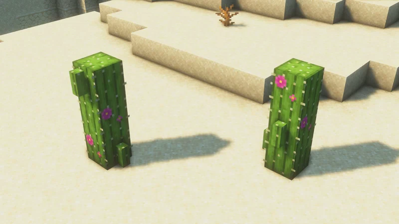 Скриншот Remodeled Cactus