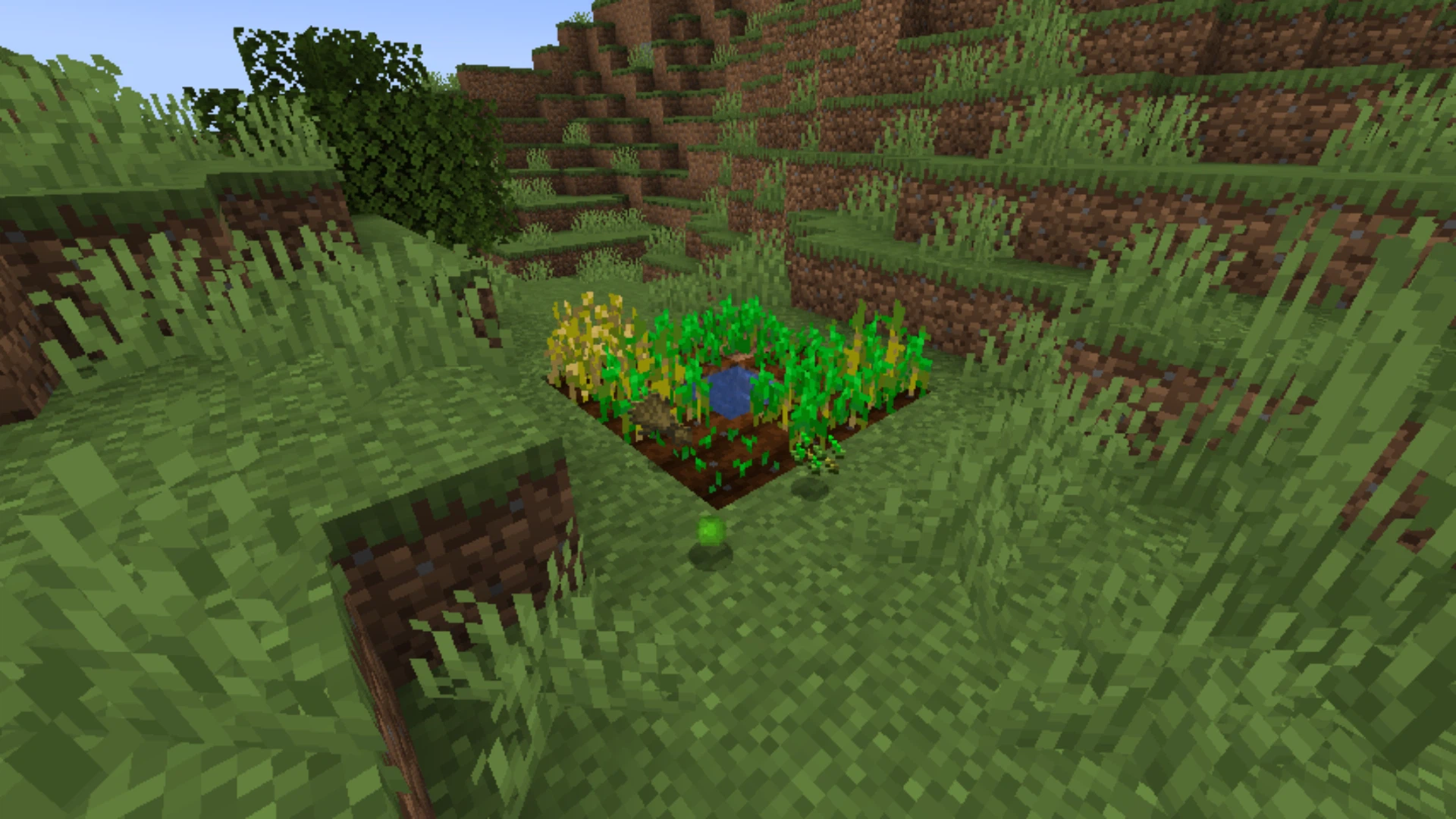 Скриншот Experienced Crops
