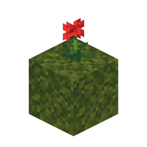 Moss Fix