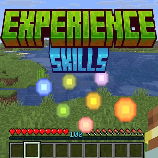 Experience Skills