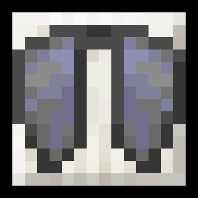 Elytra Slot