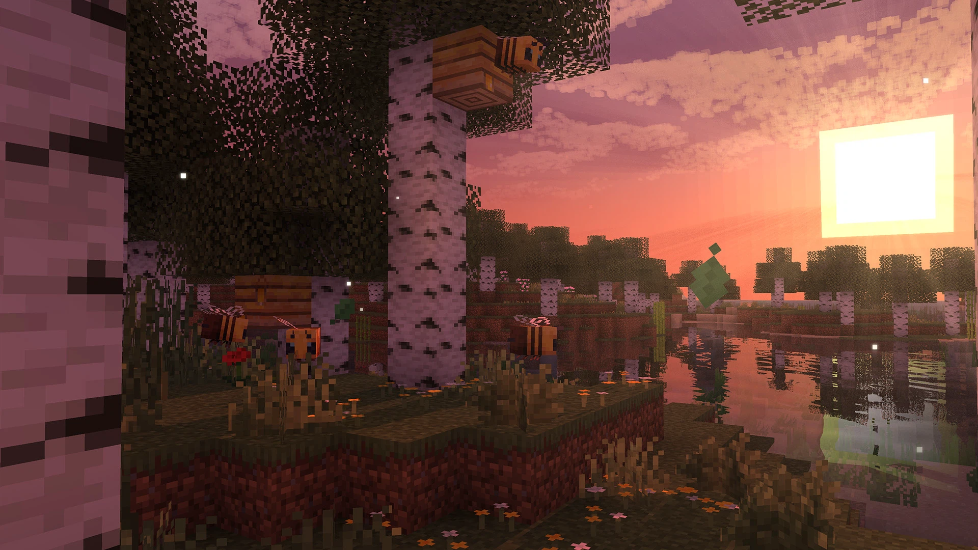 Sunrise