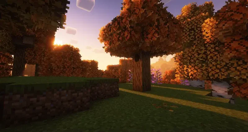 fall