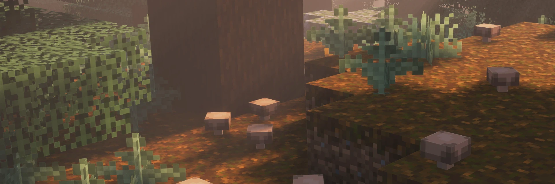 A screenshot of the game Minecraft. Taken within the Overworld dimension, in the Old Growth Pine Taiga biome. The camera is focused at the ground, and the brown mushrooms dotting the podzol among ferns.