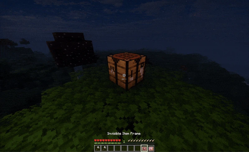Item Frame Demo