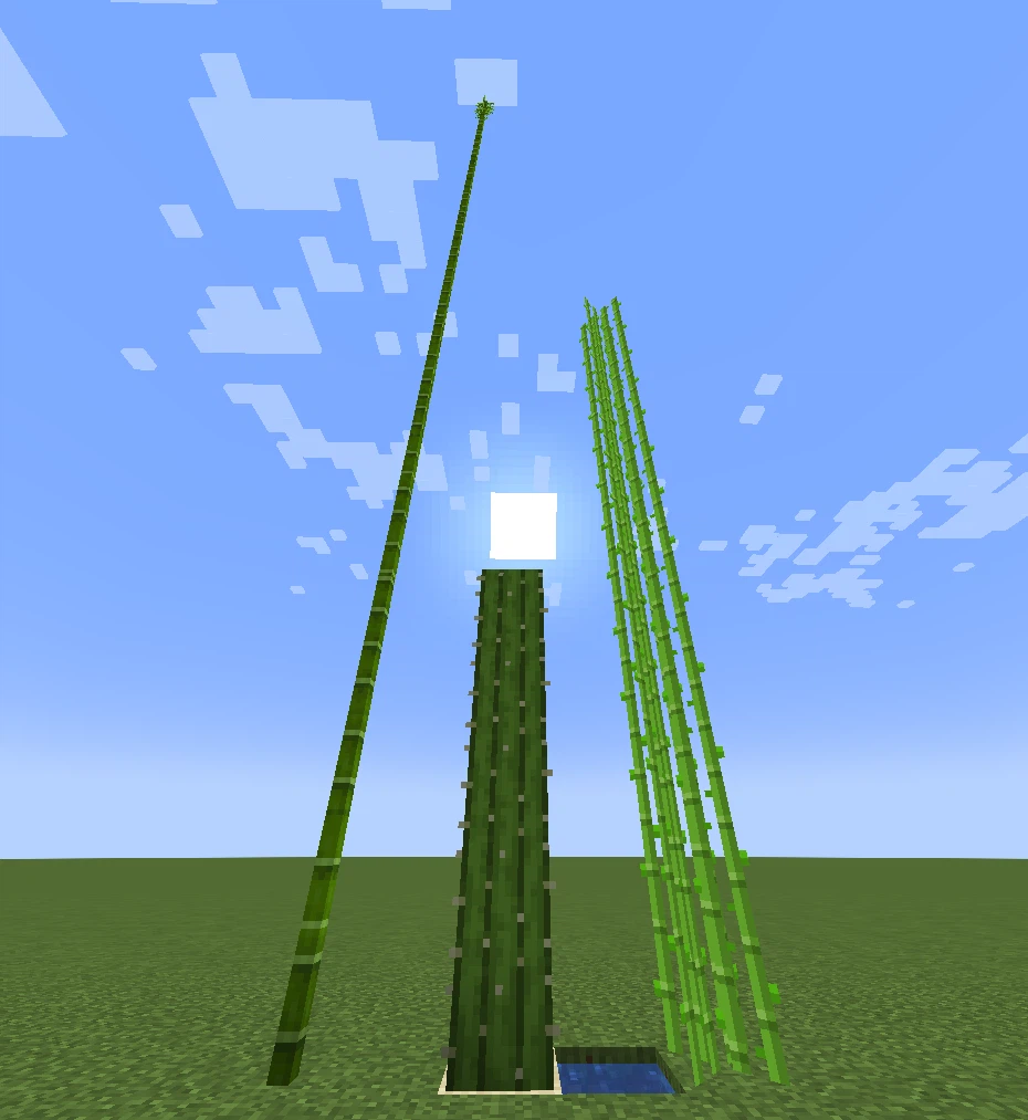 Custom height for Bamboo, Cactus and Sugar Cane