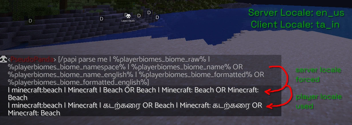 Image displaying the output of the various placeholders the plugin offers, along with localization