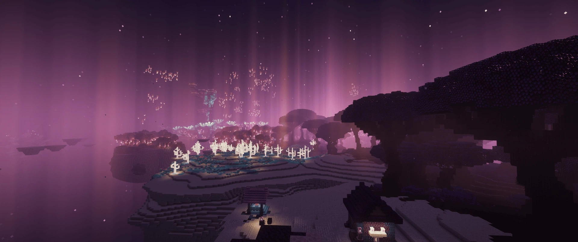 A beautiful landscape in the End Islands