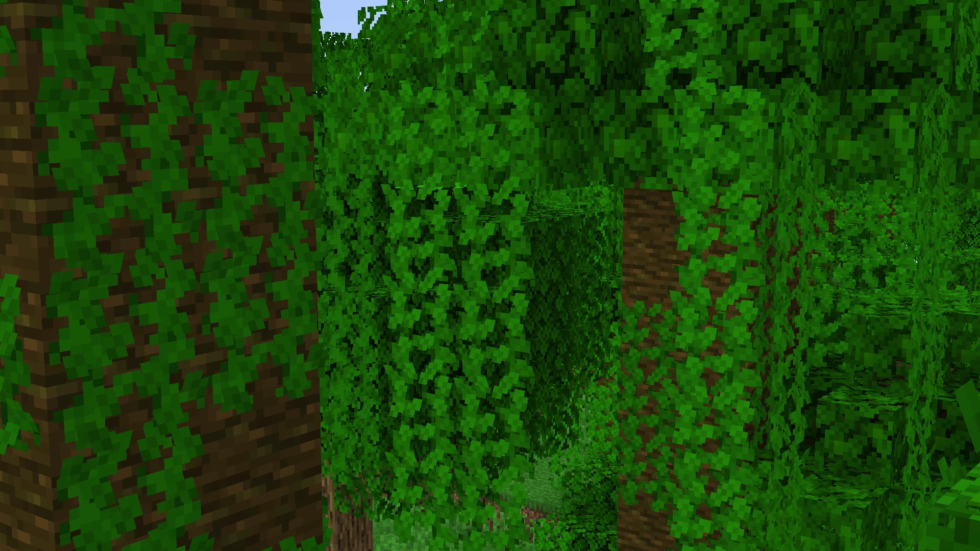 Jungle, with resourcepack