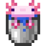 Default (leucistic) axolotl in a bucket