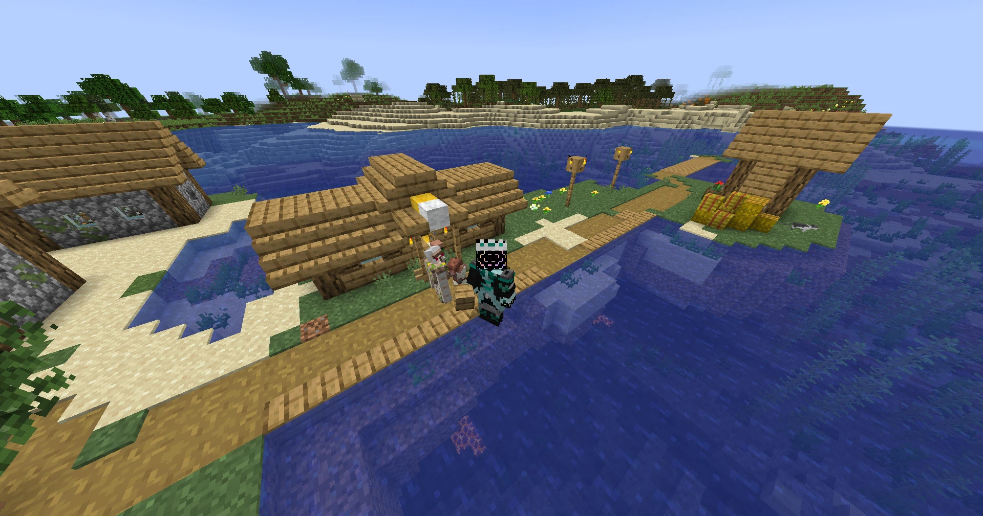 Screenshot in a village
