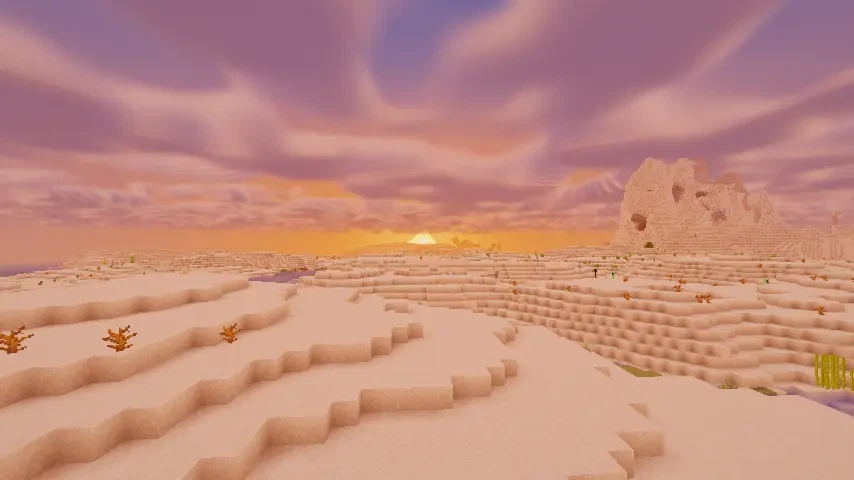 Sunset