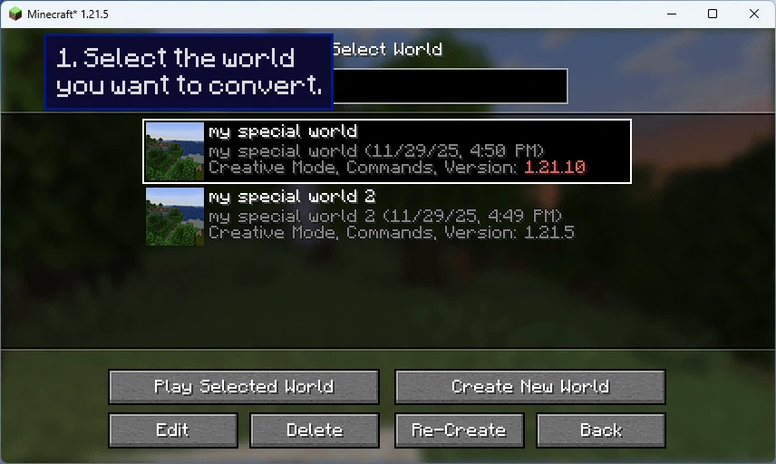 1. Select the world you want to convert