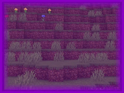 view_of_frame