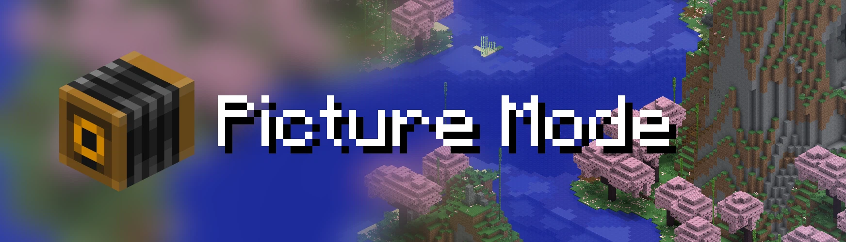 Picture Mode Banner