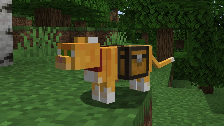 Cat Standing with Chest