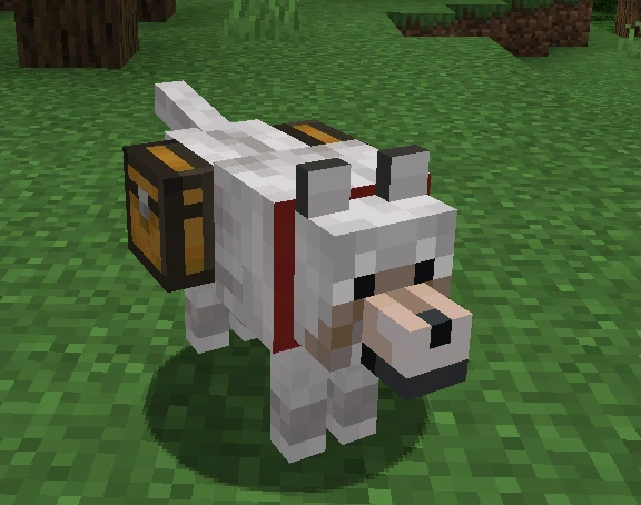 Dog Standing with Chest