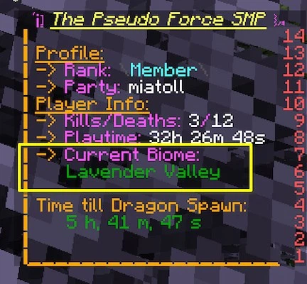 Image displaying the usage of the plugin's placeholder in a scoreboard