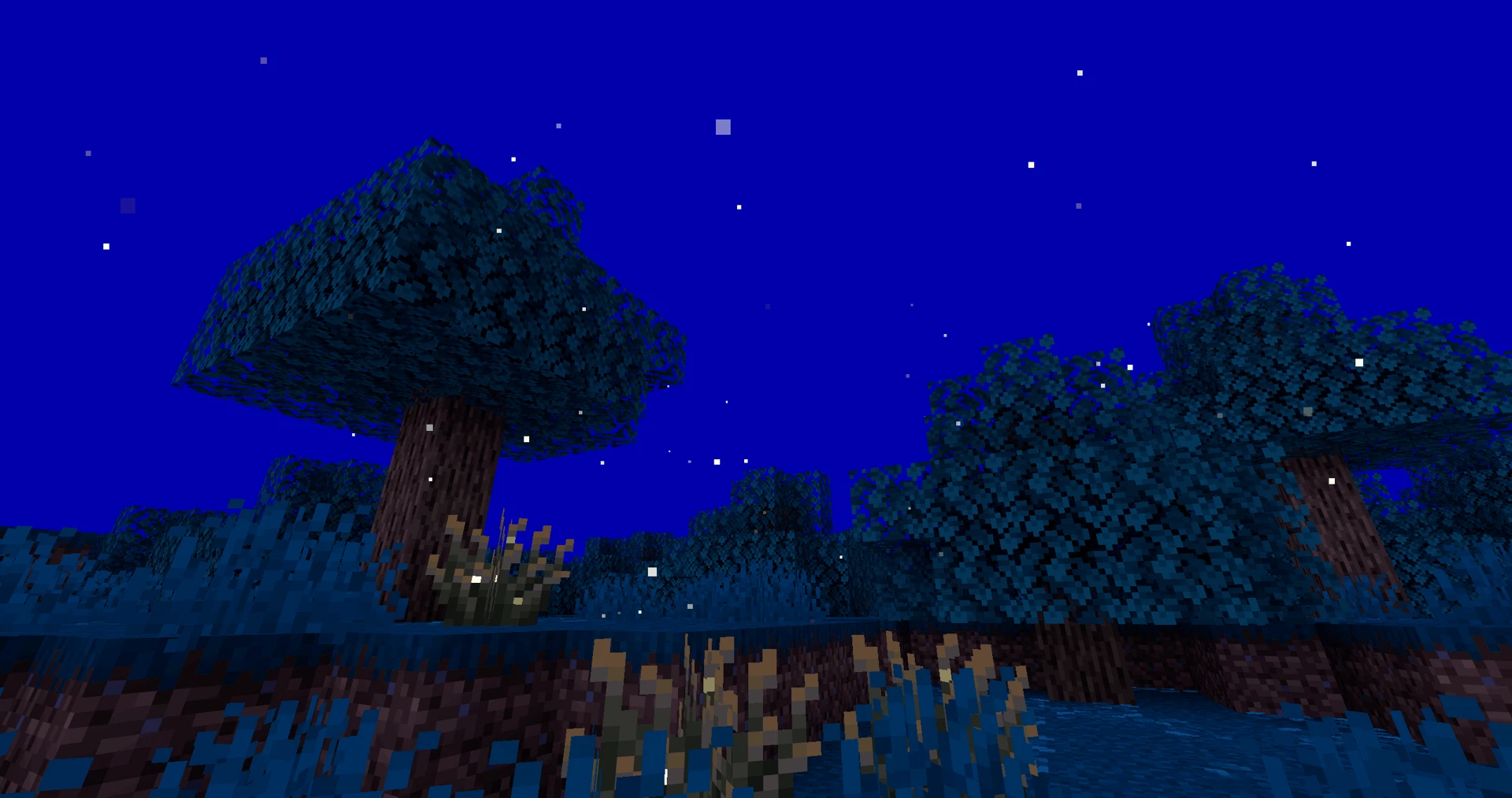 shot of headspace and fireflies