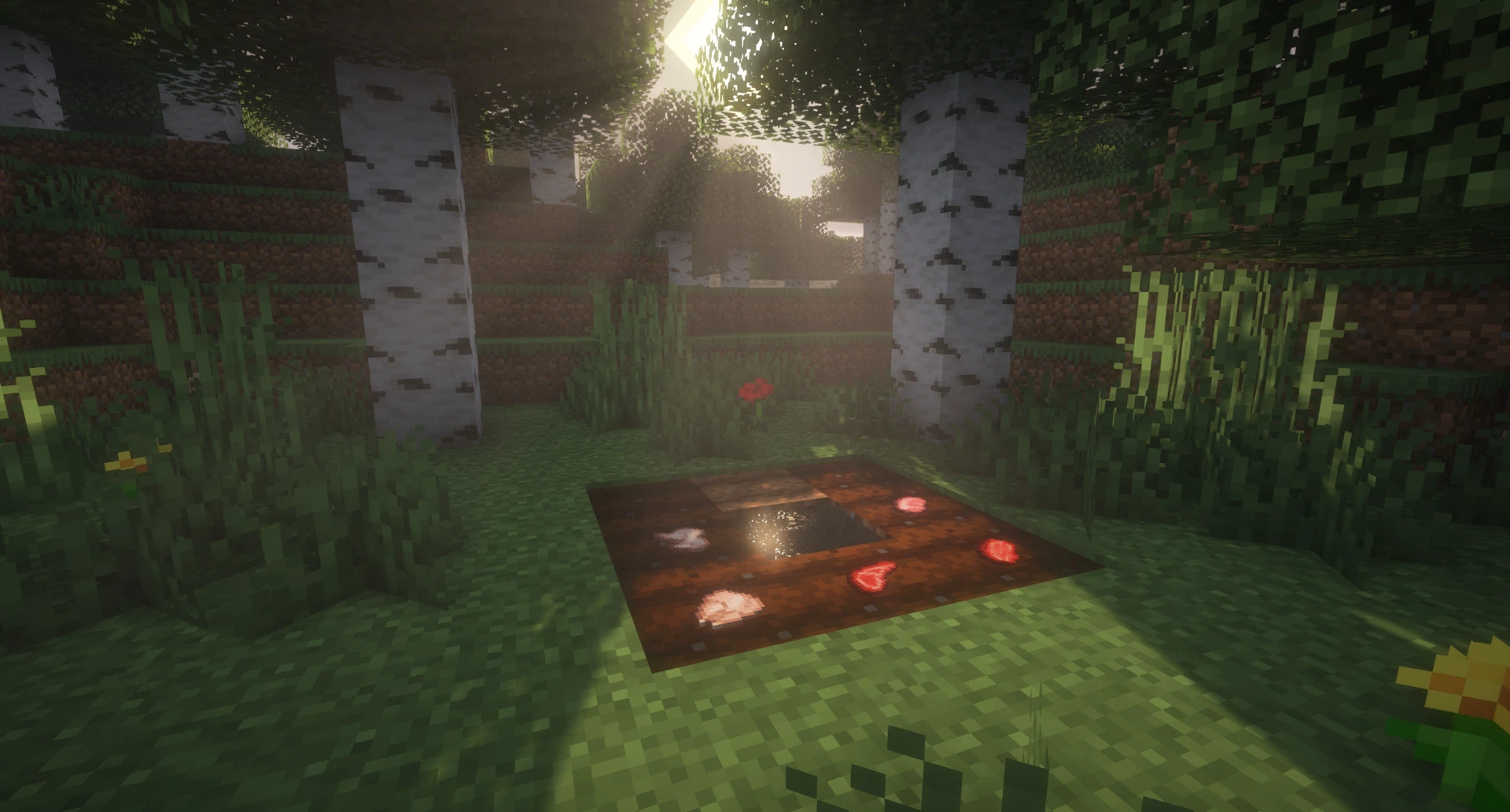 This image is a screenshot from Minecraft. It shows a section of farmland with dark brown soil, that has been watered and is ready for planting. On this soil, there are various items that are different types of meat, as if they were planted there like potatoes. In the middle of the farmland is a single block of water, shimmering with light reflections. The farm is set in a forest clearing with birch trees, grass, flowers, and a couple of red mushrooms with white spots. The scene is bathed in the soft light of sunrise, creating a serene atmosphere.