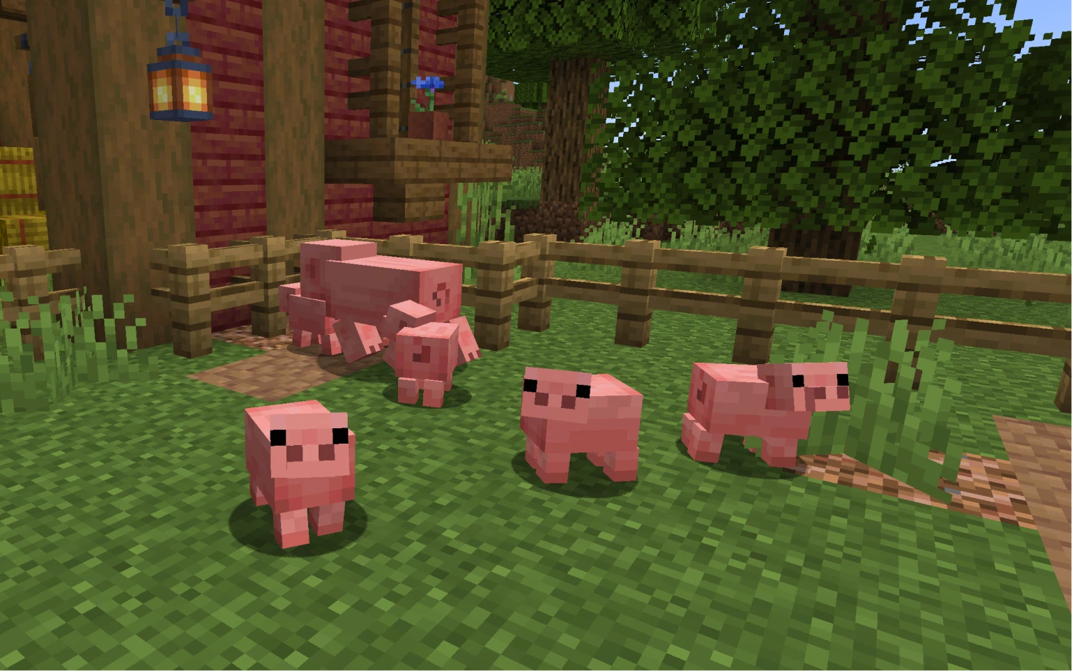 Piglets in a Pen