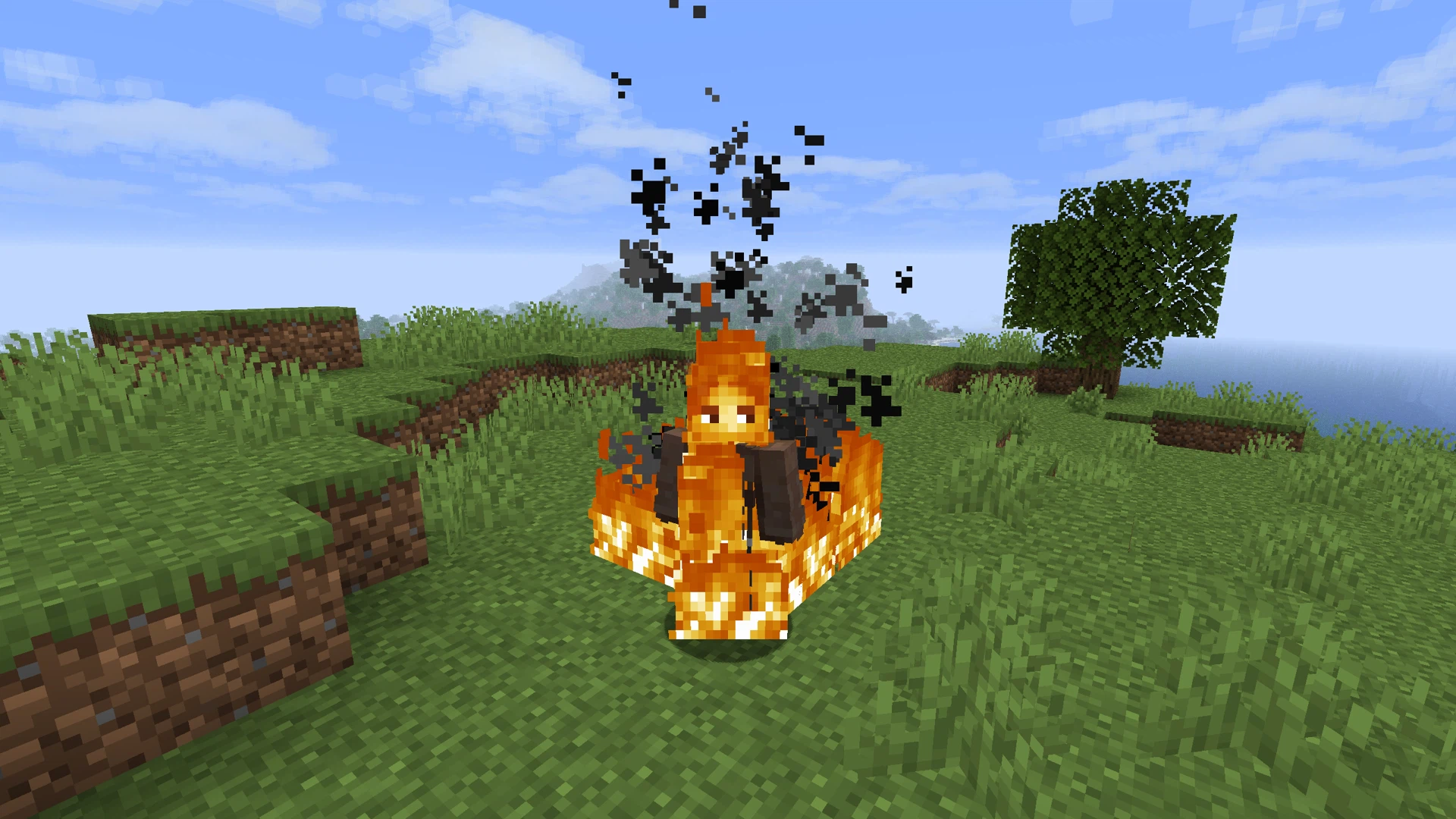 Fire Immunity