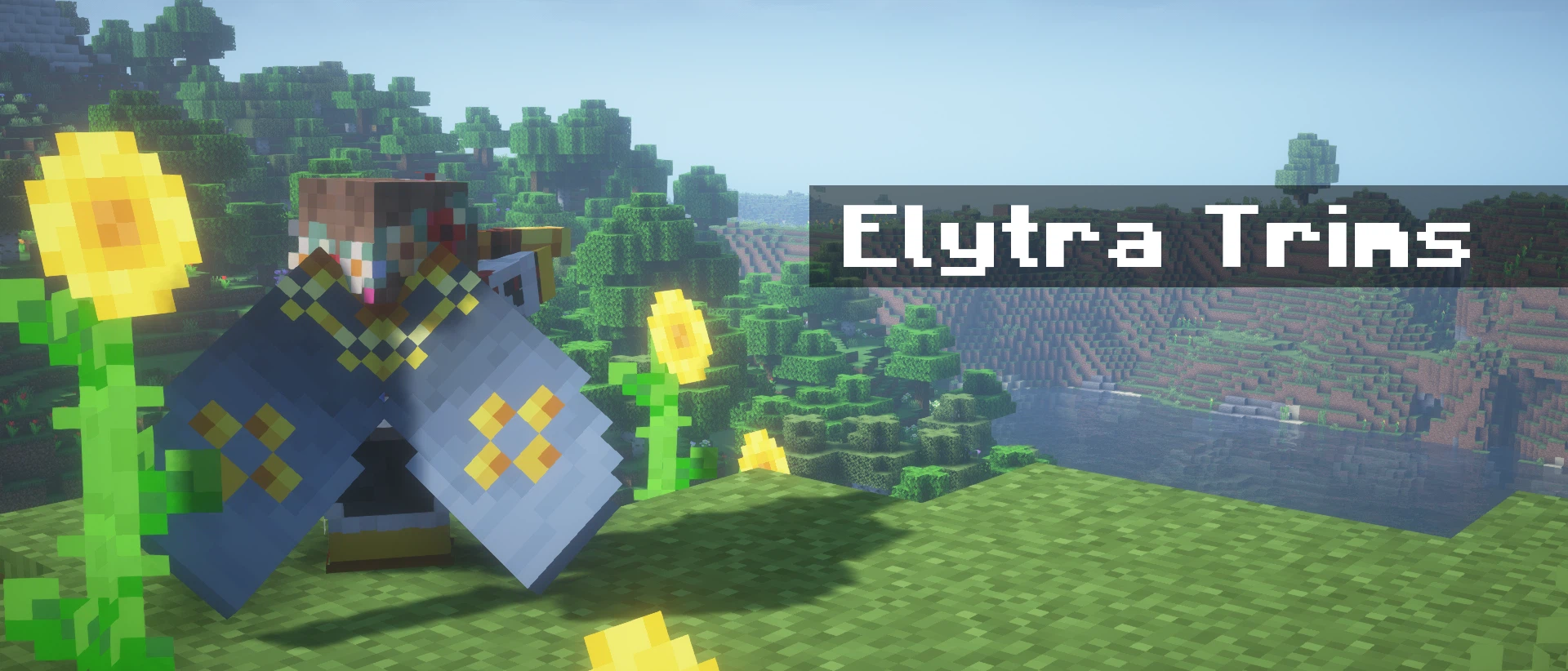 Скриншот Elytra Trims